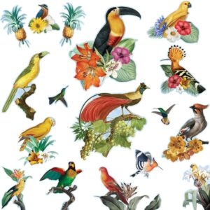 BIRDS 002