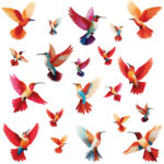 Birds 003