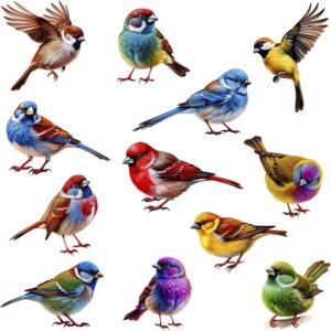 BIRDS 004